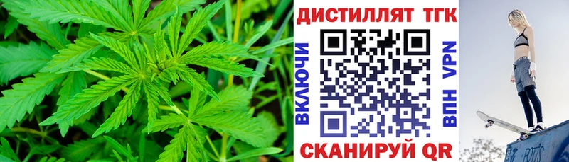 закладки  omg онион  Дистиллят ТГК THC oil  Урус-Мартан 
