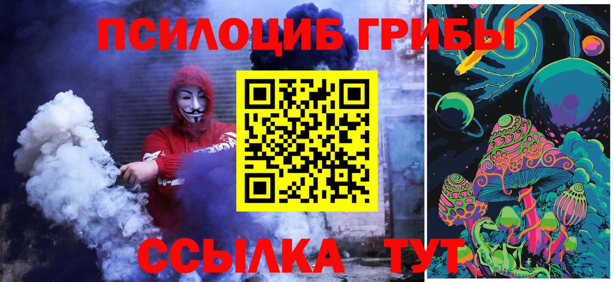 Псилоцибиновые грибы Psilocybine cubensis Урус-Мартан