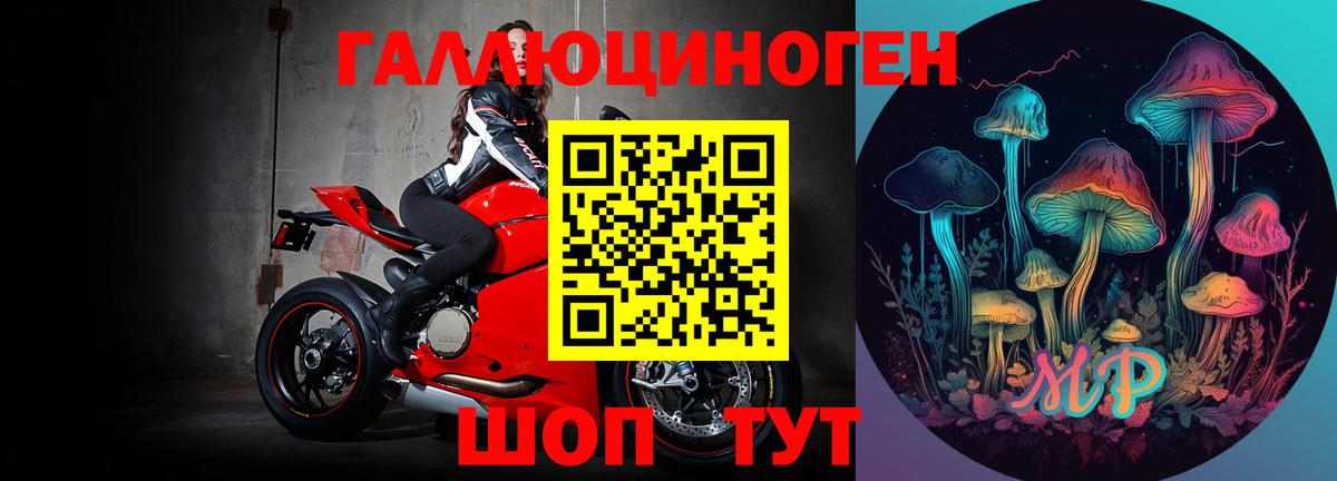 Псилоцибиновые грибы мицелий  Урус-Мартан 