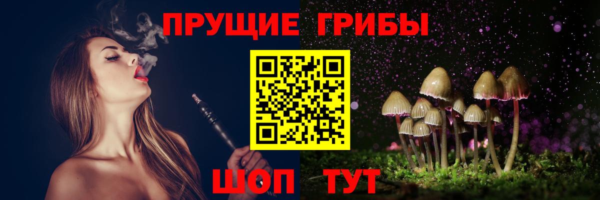 Урус-Мартан  Псилоцибиновые грибы прущие грибы  Вход с VPN  Галлюциногенные грибы ЛСД 