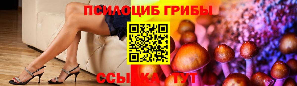Псилоцибиновые грибы GOLDEN TEACHER Урус-Мартан