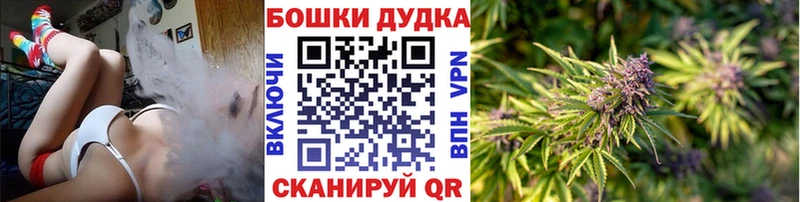 наркота  Урус-Мартан  площадка наркотические препараты  Марихуана сатива 